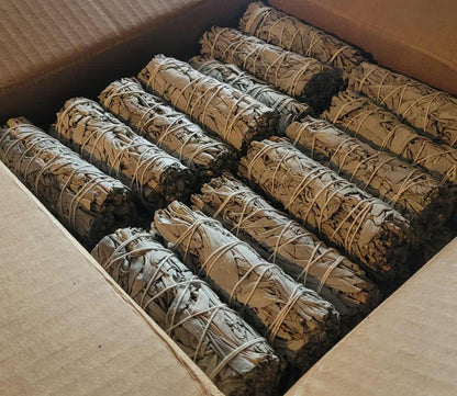 Sauge - Sauge blanche de Californie